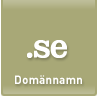 Dom�nnamn